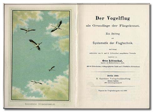 Der Vogelflug